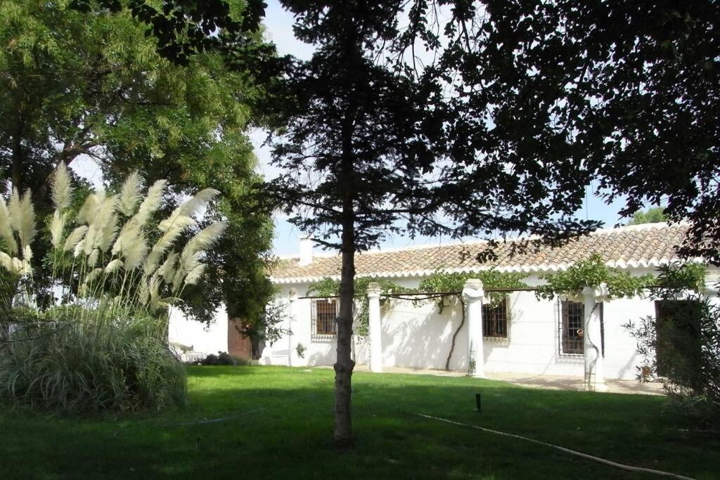Casa El Carmen Villa Ciudad Real Buitenkant foto