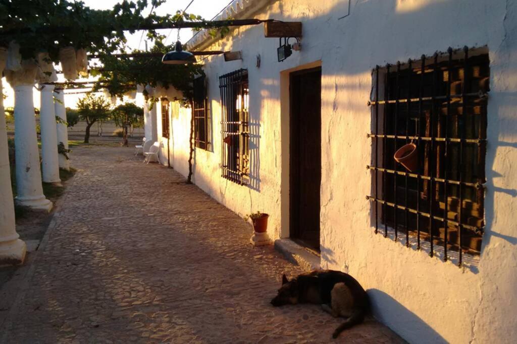 Casa El Carmen Villa Ciudad Real Buitenkant foto