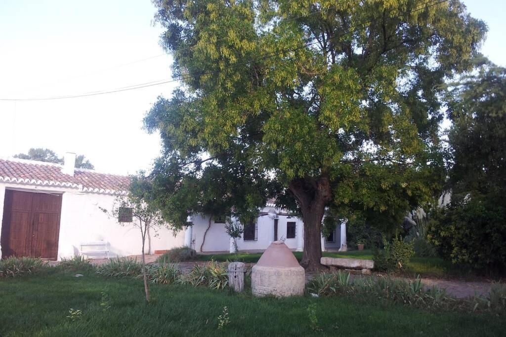 Casa El Carmen Villa Ciudad Real Buitenkant foto